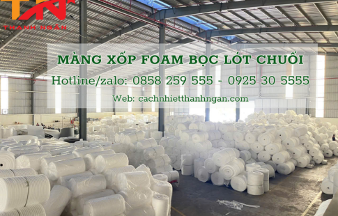 Mua Tấm Mút Xốp Pe Foam Lót Trái Cây Giá Sỉ Tại Nhà Máy Sản Xuất Biên Hòa