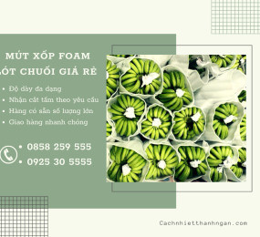 Mua Xốp Lót Chuối Giá Rẻ Tại Xuân Lộc Cẩm Mỹ Đồng Nai