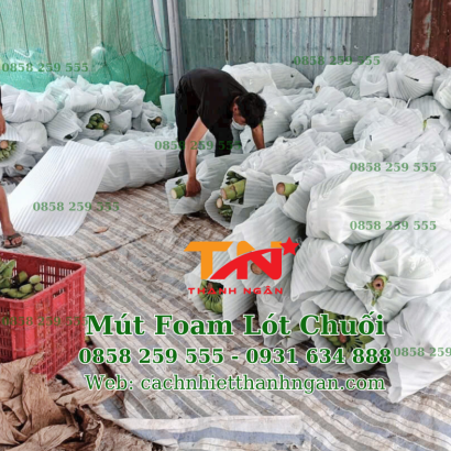 Mút Xốp Lót Trái Cây Giá Rẻ Tại Đồng Nai - Xốp Foam Giải Pháp Bọc Lót Trái Cây Hiệu Quả