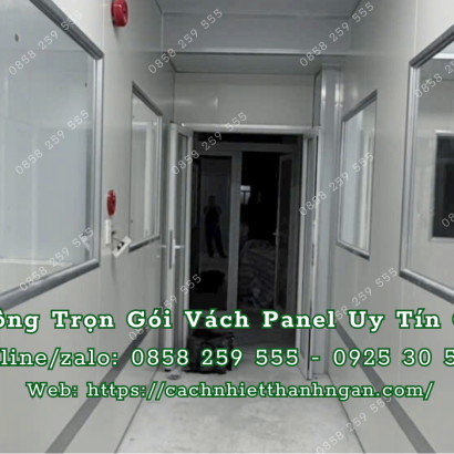 Thi Công Vách Panel EPS Trọn Gói Tại Bình Dương: Báo Giá & Quy Trình Từ Thanh Ngân