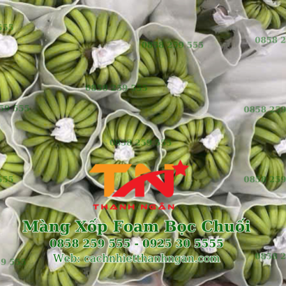 Mua Xốp Lót Chuối Giá Rẻ Tại Xuân Lộc Cẩm Mỹ Đồng Nai